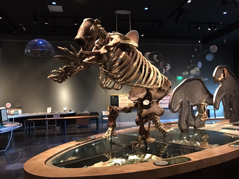 Western Science Center 134 Photos & 38 Reviews Museums 2345 Searl