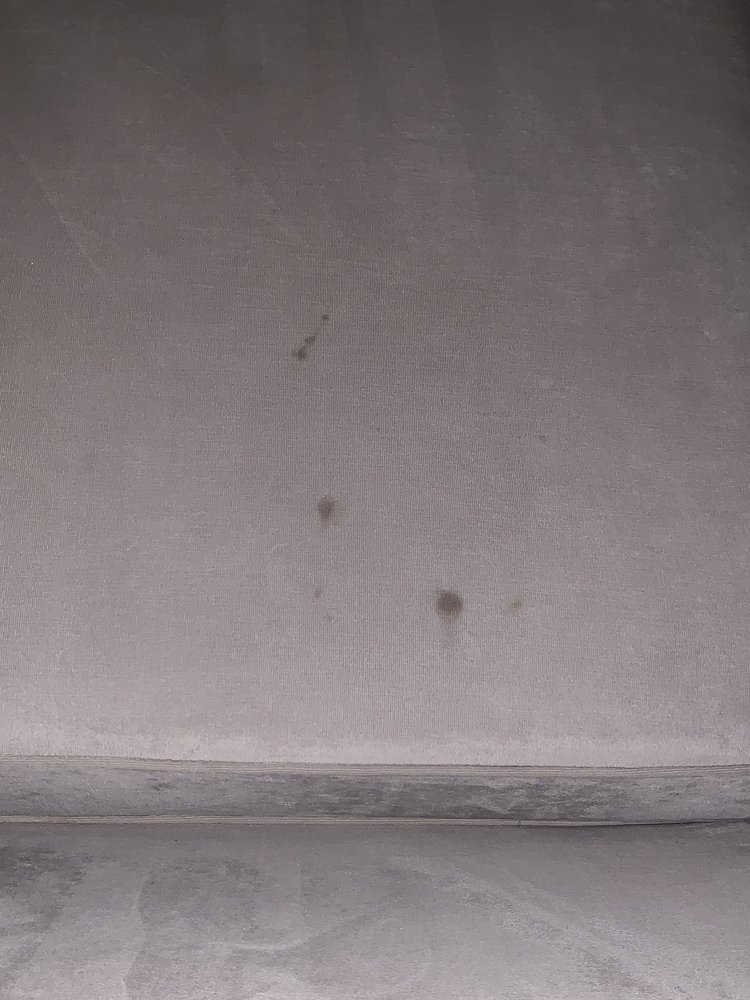 Oxi Fresh Carpet Cleaning