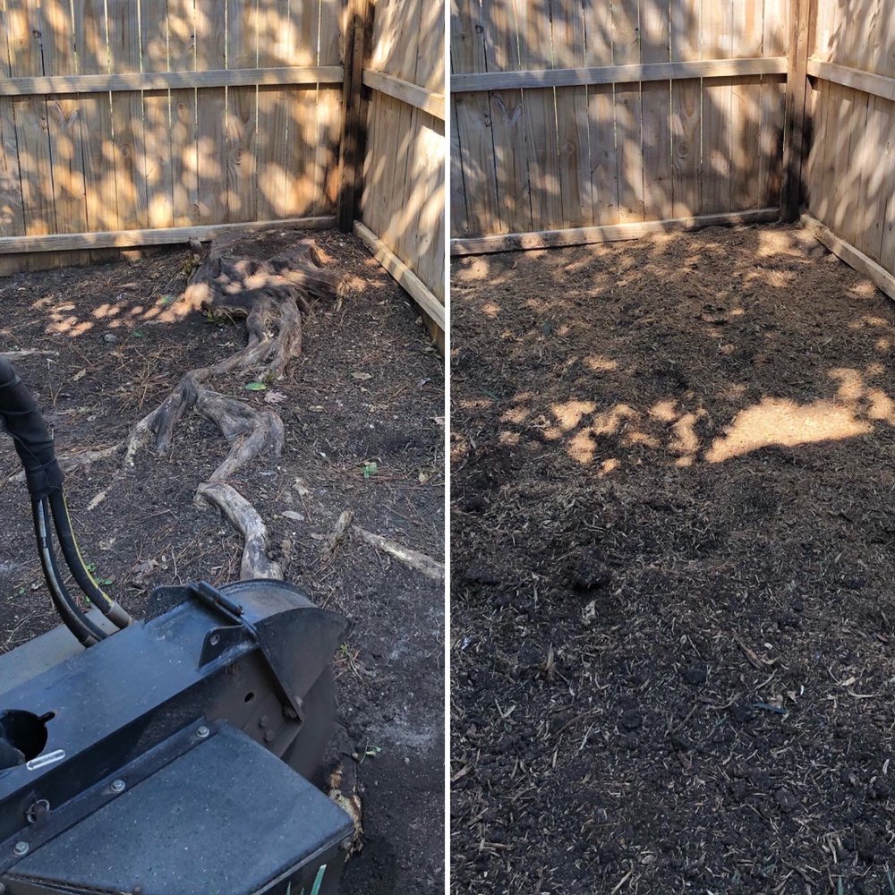 Raleigh Stump Grinding