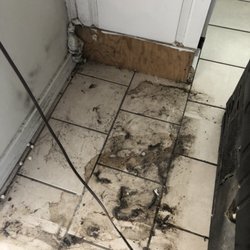 Carpet Cleaning In Santa Barbara Yelp Santa Barbara Reviews Express Cleaning