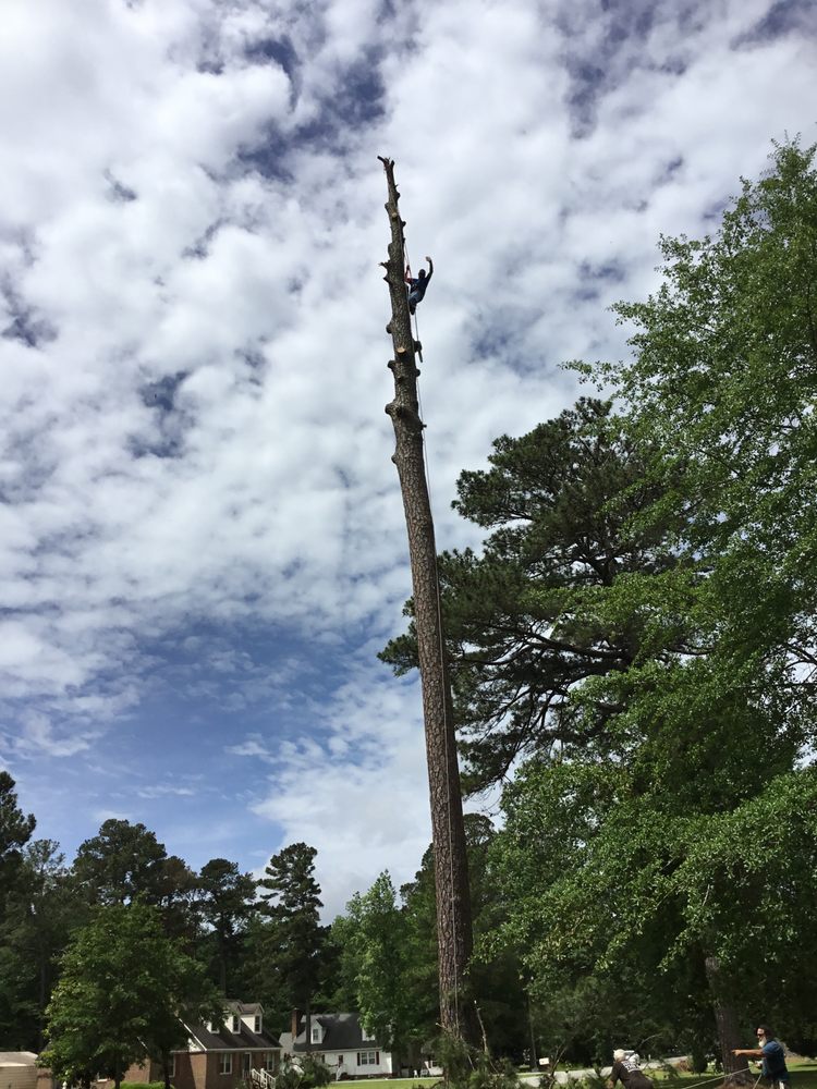 Billy's Tree Services