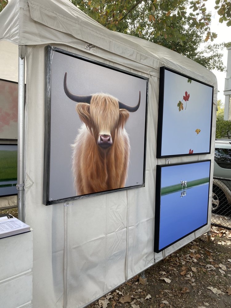 Stockley Gardens Arts Festival