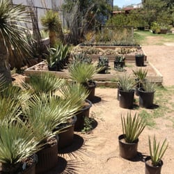One Way Plant Nursery Nurseries Gardening 308 W Ave E Alpine Photo Of One Way Plant Nursery Alpine Tx United States Native Plants