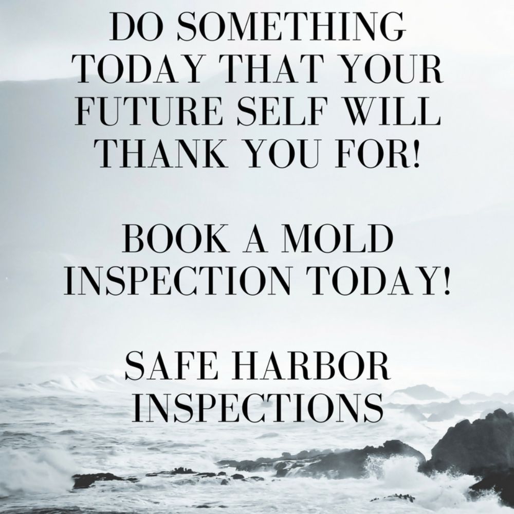 Safe Harbor Inspections