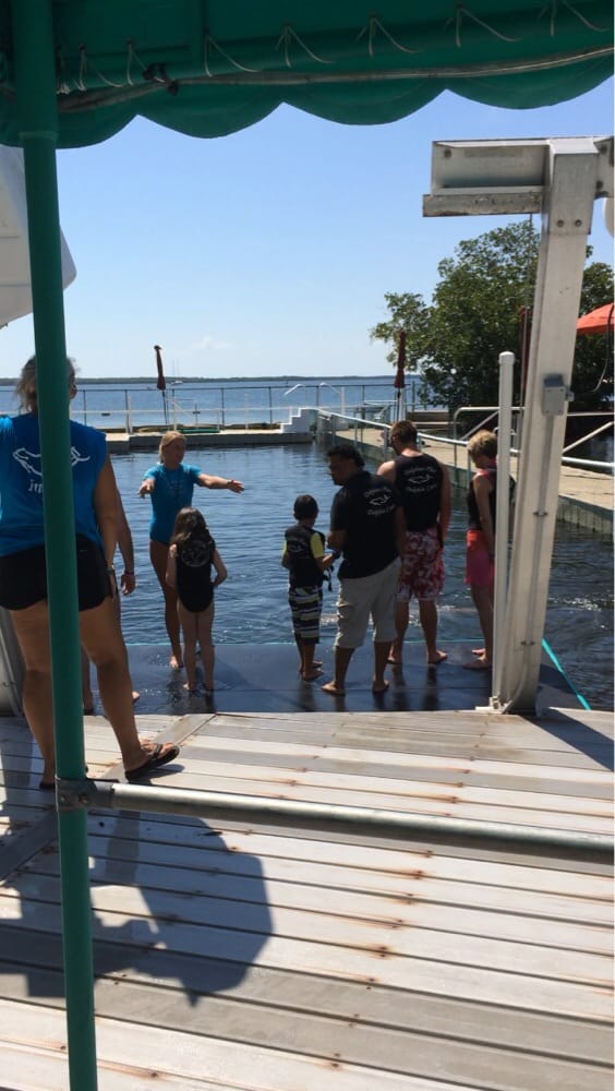 Dolphins Plus Bayside 15 Reviews Aquariums 101900 Overseas Hwy