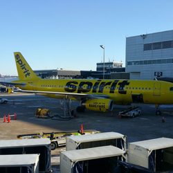 spirit airlines 31 photos 180 reviews airlines 7000 w 24th