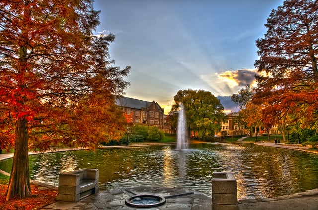 image of business Mirror Lake Family Dentistry