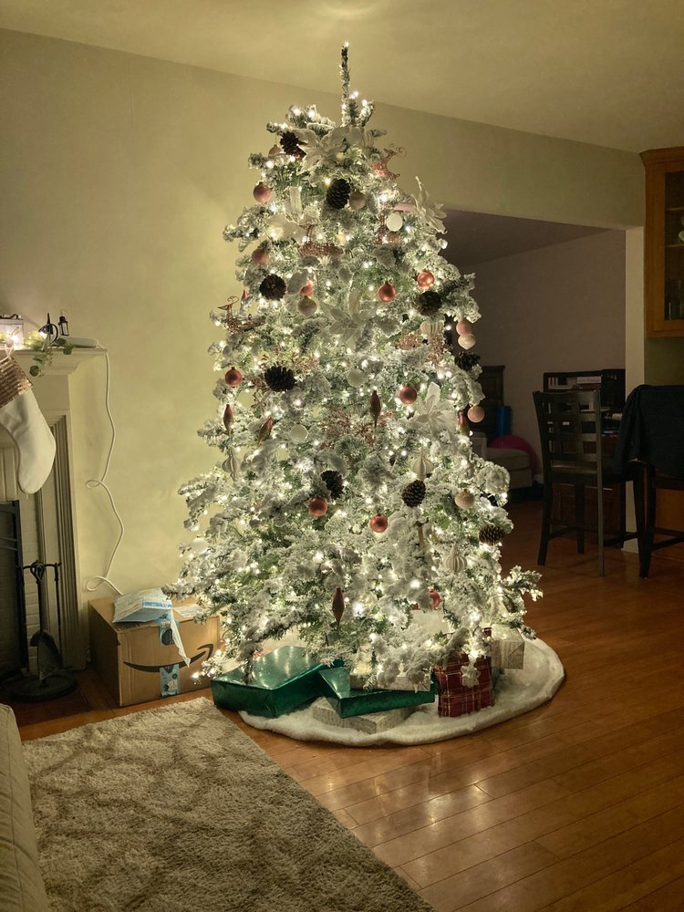 Delancey Street Christmas Trees