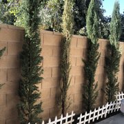Chatsworth Landscape Nursery 23 Photos 24 Reviews Photo Of Chatsworth Landscape Nursery Ca United States 1 Dead