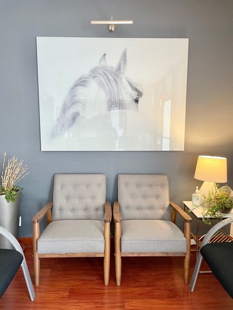 image of business Belmont Plaza Dental Care