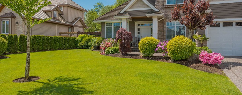 Solanos Landscaping and Lawn Care Services