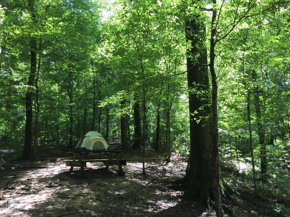 Tunica Hills Campground Campgrounds 12075 County Road 270, Saint