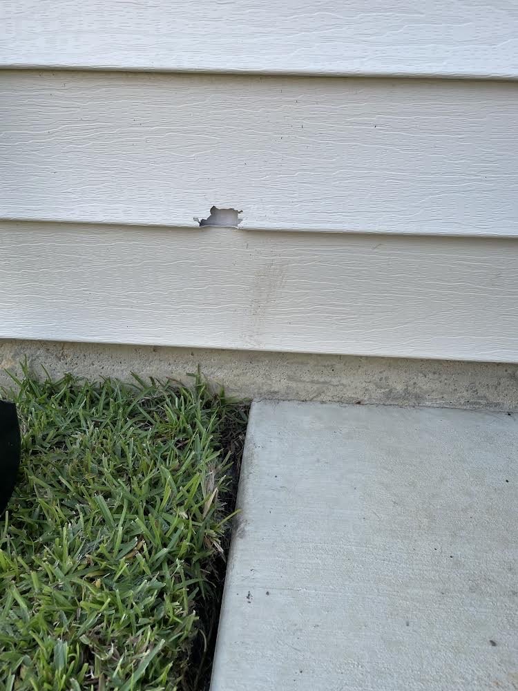 Earth Art Landscaping