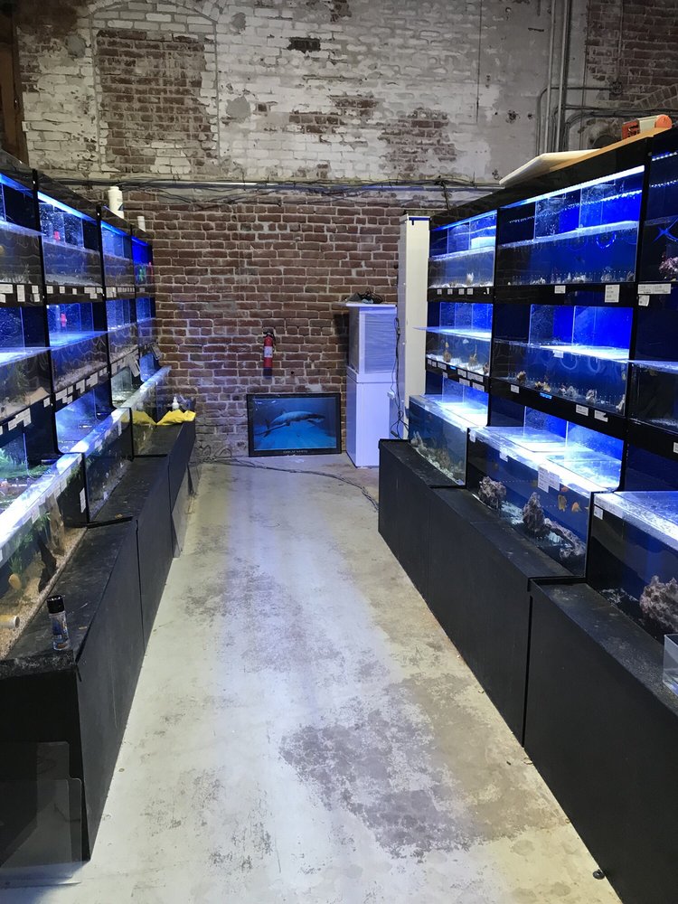 Bay Bridge Aquarium and Pet 27 Photos & 18 Reviews Local Fish