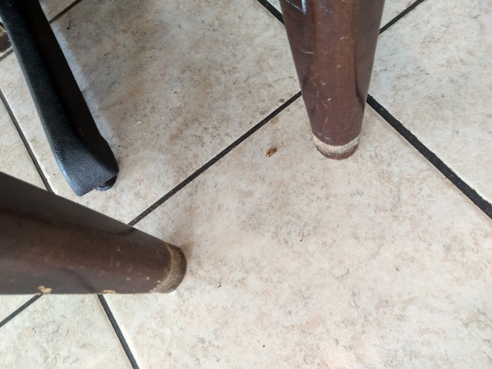 Sakura North Church Japanese Steakhouse