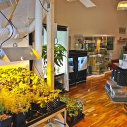 Growshops Deutschland Growshops Deutschland