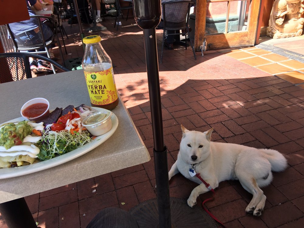 Santa Barbara Restaurants Yelp Dog Friendly Santa Barbara Restaurants Yelp Dog Friendly