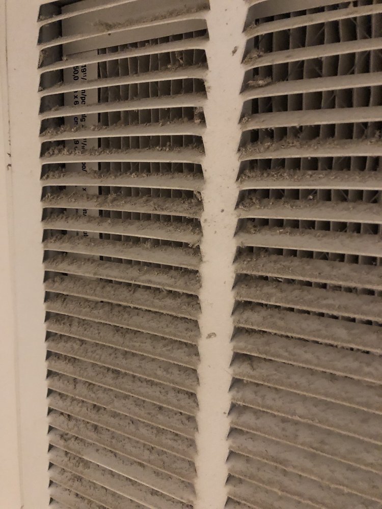 SERVPRO of Hyde Park/Central Austin
