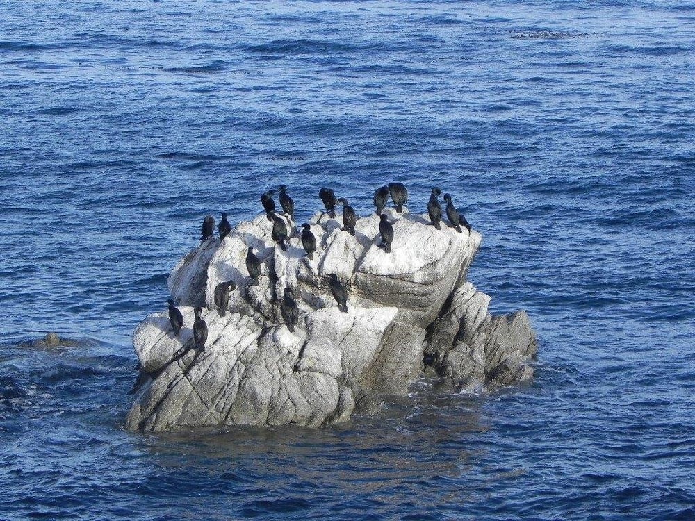 Pacific Grove Property Management