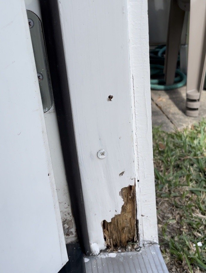 Reed Door Garage Webster