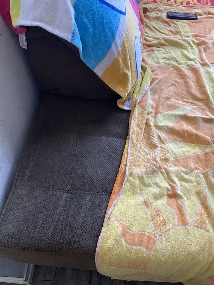 Rene's Steam Carpet Cleaning