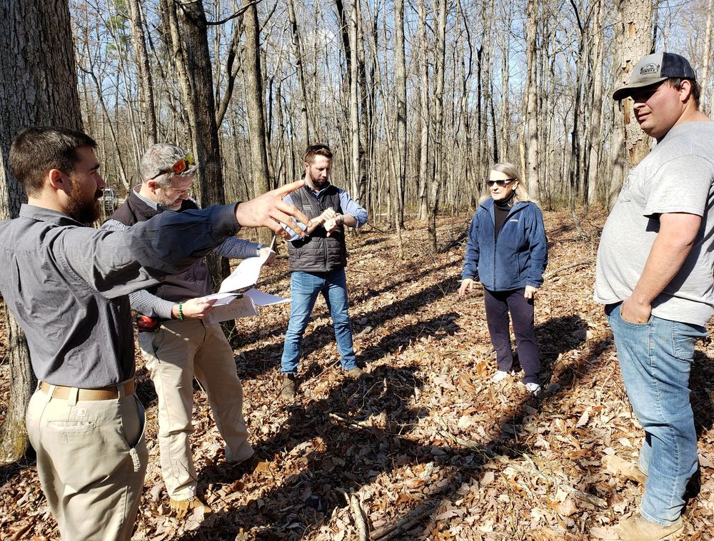 image of business Brown Haven Homes