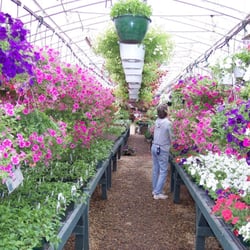 Tilton Nursery Greenhouse Closed Nurseries Gardening 477 Photo Of Tilton Nursery Greenhouse Nh United States