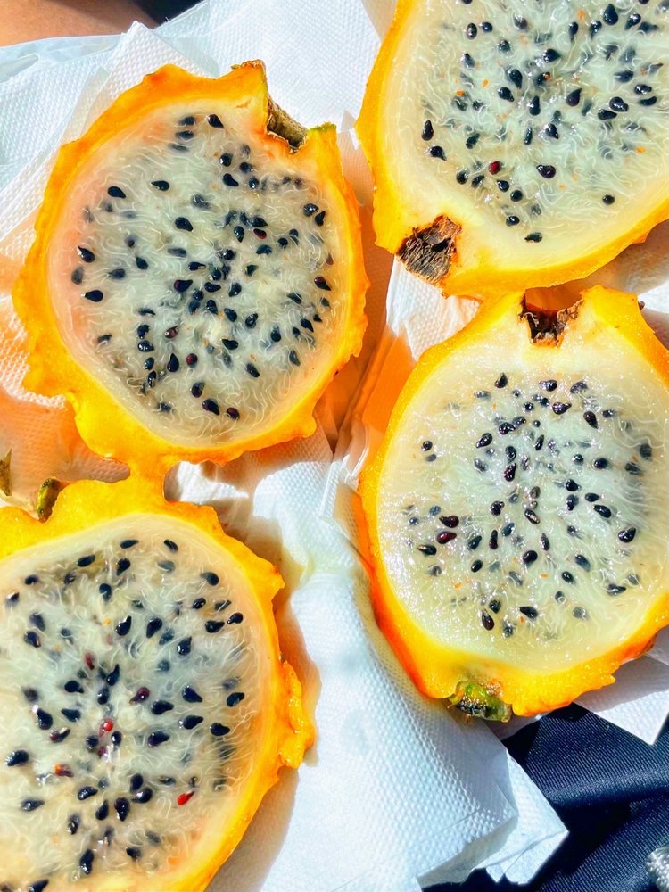 Vuon Co Chin Fruits Farm