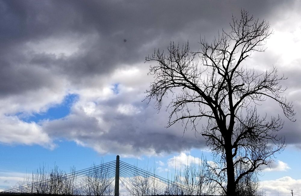 Tilikum Crossing: Bridge of the People