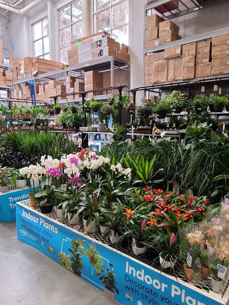Lowe's Home Improvement