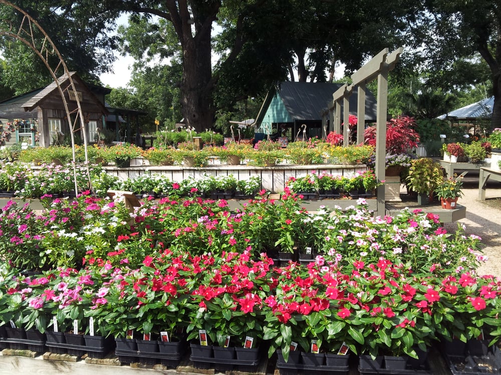 Enchanted Forest 40 Photos & 10 Reviews Nurseries & Gardening