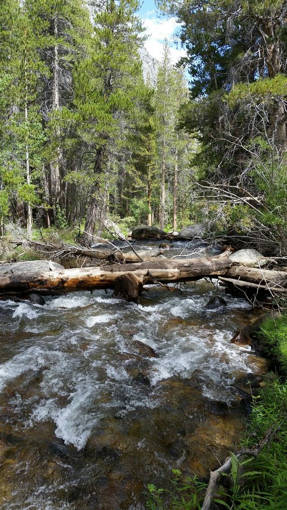 East Fork Campgrounds 27 Photos & 15 Reviews Campgrounds 395 And