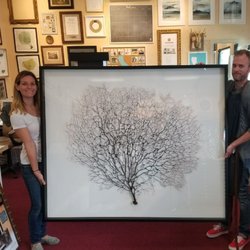 Best Framing 117 Photos 170 Reviews 1671 Placentia Photo Of Best Framing Costa Mesa Ca United States