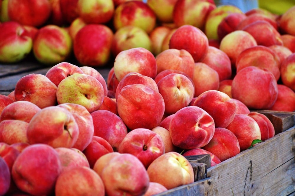 Arlington Farmers' Market