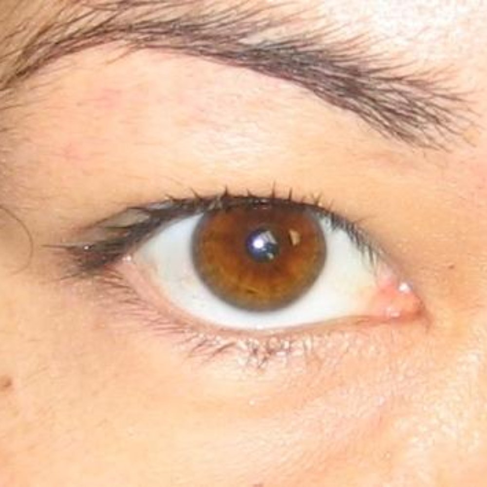 Get Gussied Up! Yelp