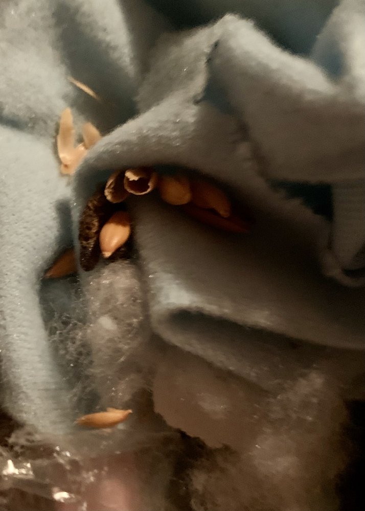 Foster's Moving & Storage