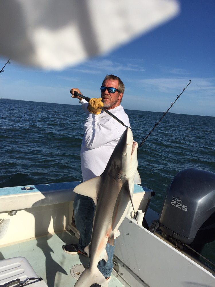 Shark Fishing In Virginia Beach Yelp Photo Of Afishinadovb Fishing Charters Virginia Beach Va United States
