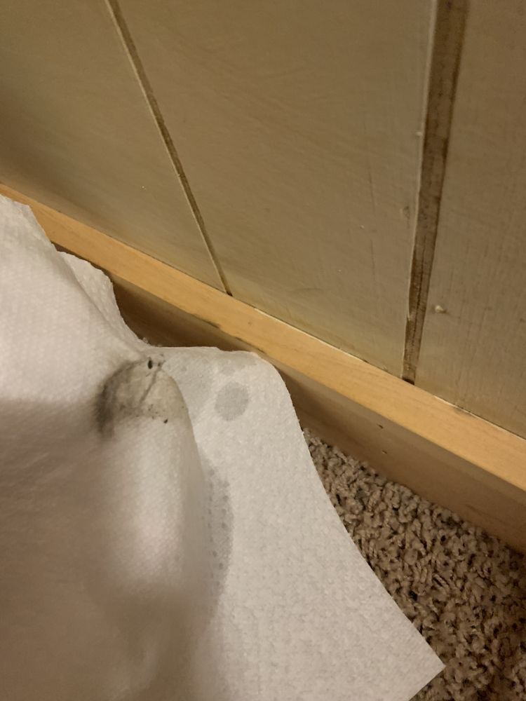 AleJay Green Cleaning