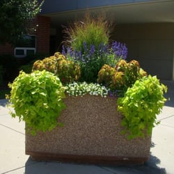 Plant By Numbers Garden Design planting odd and even numbers in garden design Photo Of Plantheads Landscape Garden Design Ltd Villa Park Il United Plant By Numbers Garden Design two vs three in design with trees and shrubs especially a pair of plants of the same variety is pleasing to the eye when its flanking an entrance to a Photo Of Plantheads Landscape Garden Design Ltd Villa Park Il United