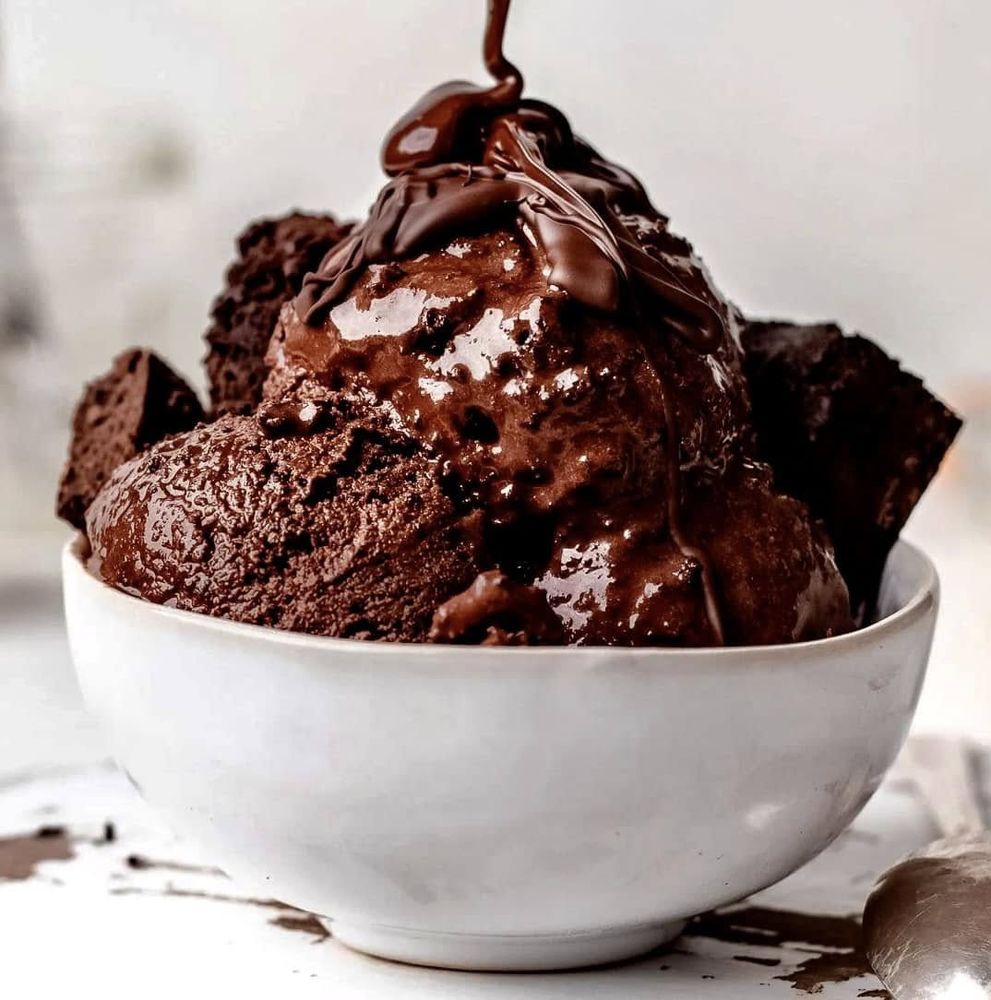 Vampire Penguin Vampire Penguin