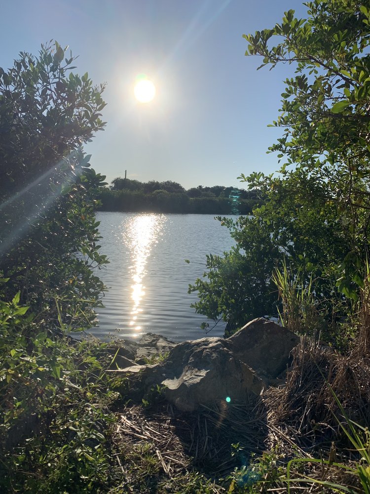 Oldsmar Trail Image