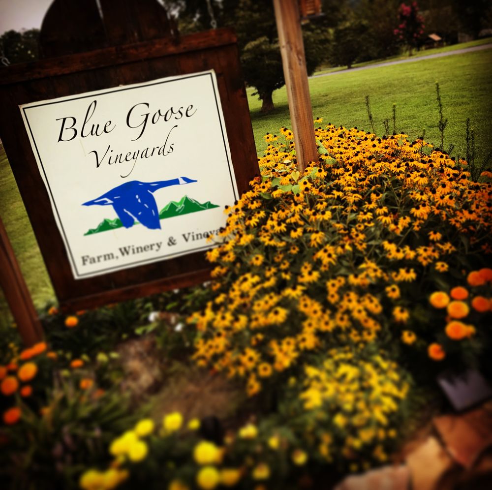 Blue Goose Vineyards