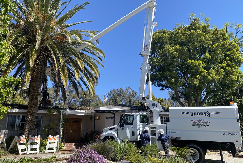 Kerry's Tree Service
