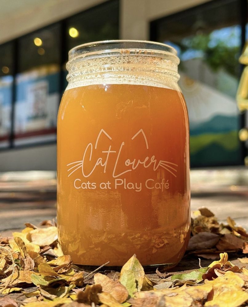Cats at Play Cafe Image