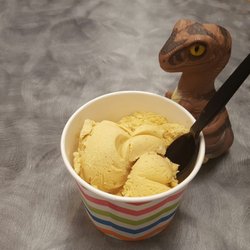Photo of CP's Cooler Homemade Ice Cream & Treats - Willowick, OH, United States. Bob the Raptor Says "This is Pumpkin Pie Ice Cream Prey!"