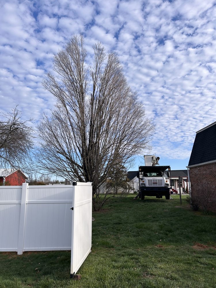 Dixon Tree Service