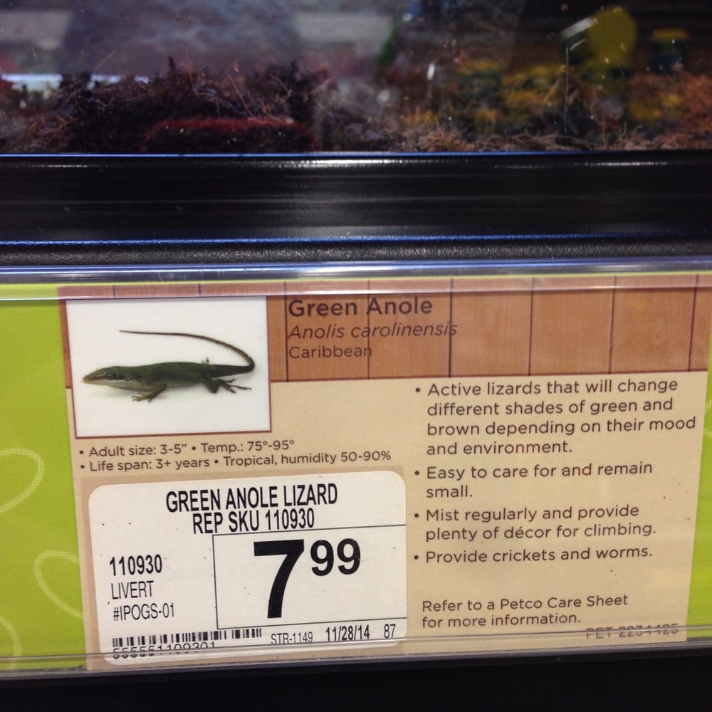 Petco 28 Photos & 51 Reviews Pet Stores 878 Eastlake Pkwy, Chula