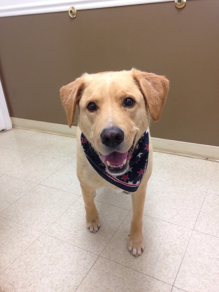 Stream Valley Veterinary Hospital