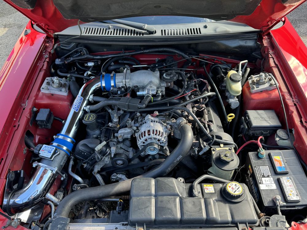 DG Mobile Detail