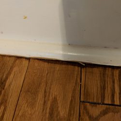 Dustless Hardwood Refinishing 29 Photos Flooring 8572 County Photo Of Dustless Hardwood Refinishing Vinemont Al United States Old Stain Visible